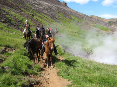 Iceland Horse Riding Tour 